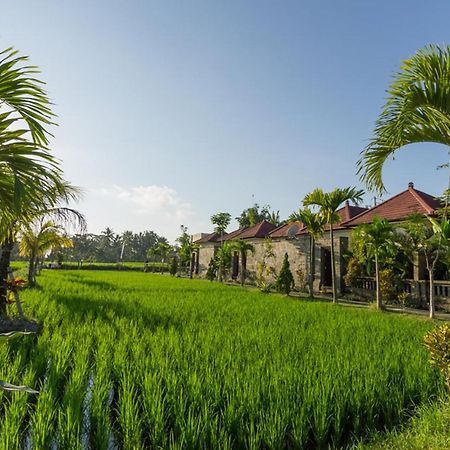 De Sawah Satoe Villa And Resort Ubud Dış mekan fotoğraf