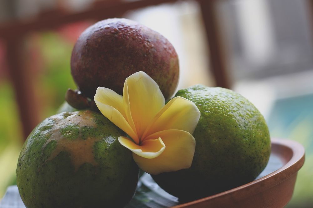 De Sawah Satoe Villa And Resort Ubud Dış mekan fotoğraf