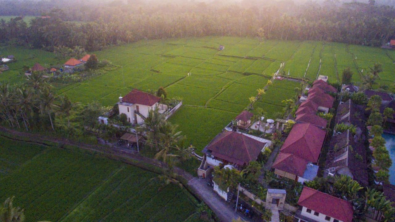 De Sawah Satoe Villa And Resort Ubud Dış mekan fotoğraf