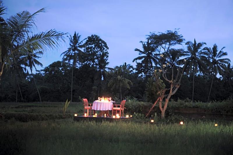 De Sawah Satoe Villa And Resort Ubud Dış mekan fotoğraf